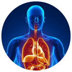 Human Anatomy and Physiology-I