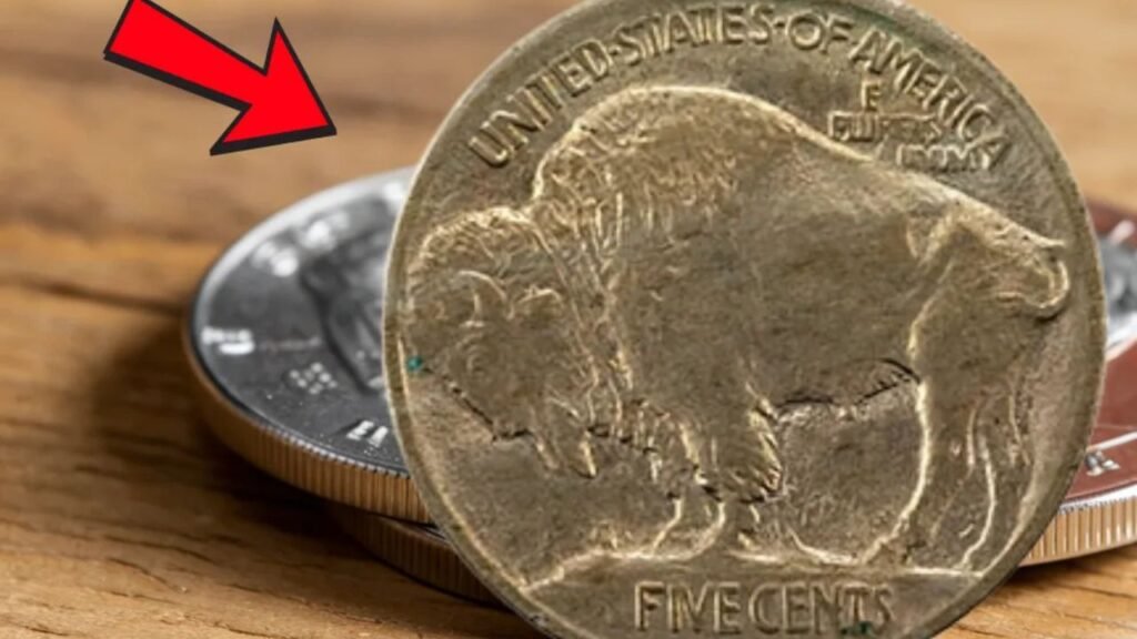 Buffalo Nickel